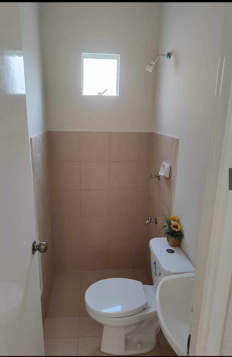 Estelle - Solana Zaragoza