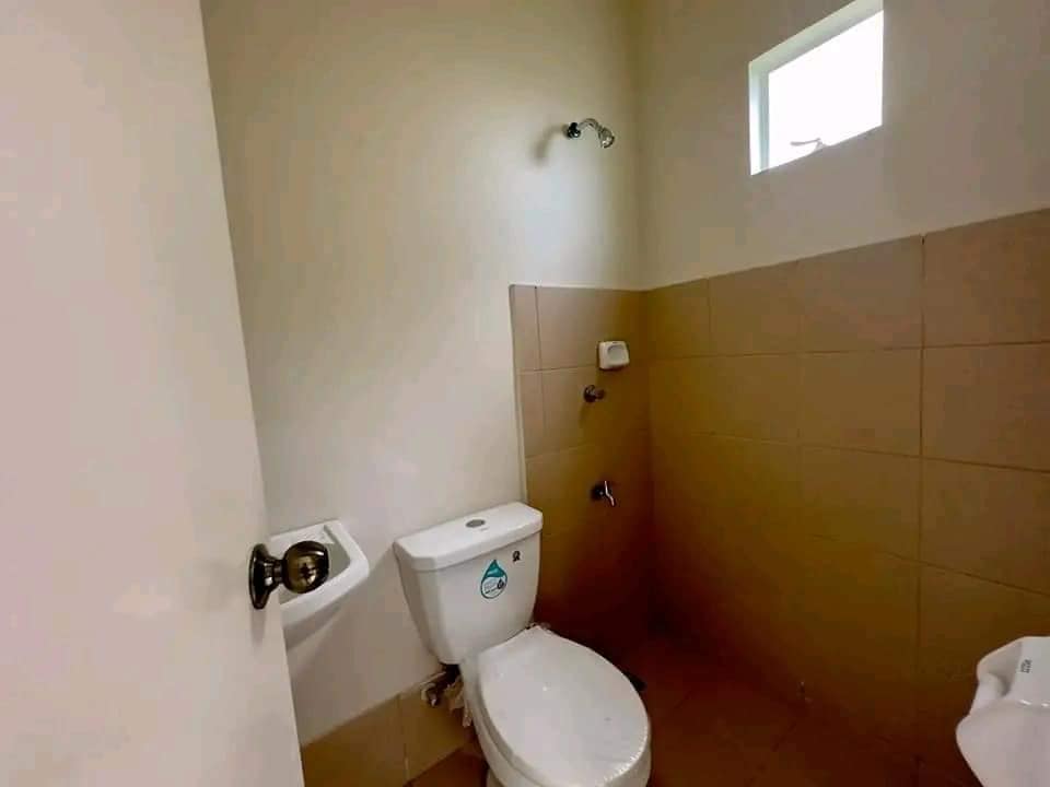 Catherine - Solana Zaragoza