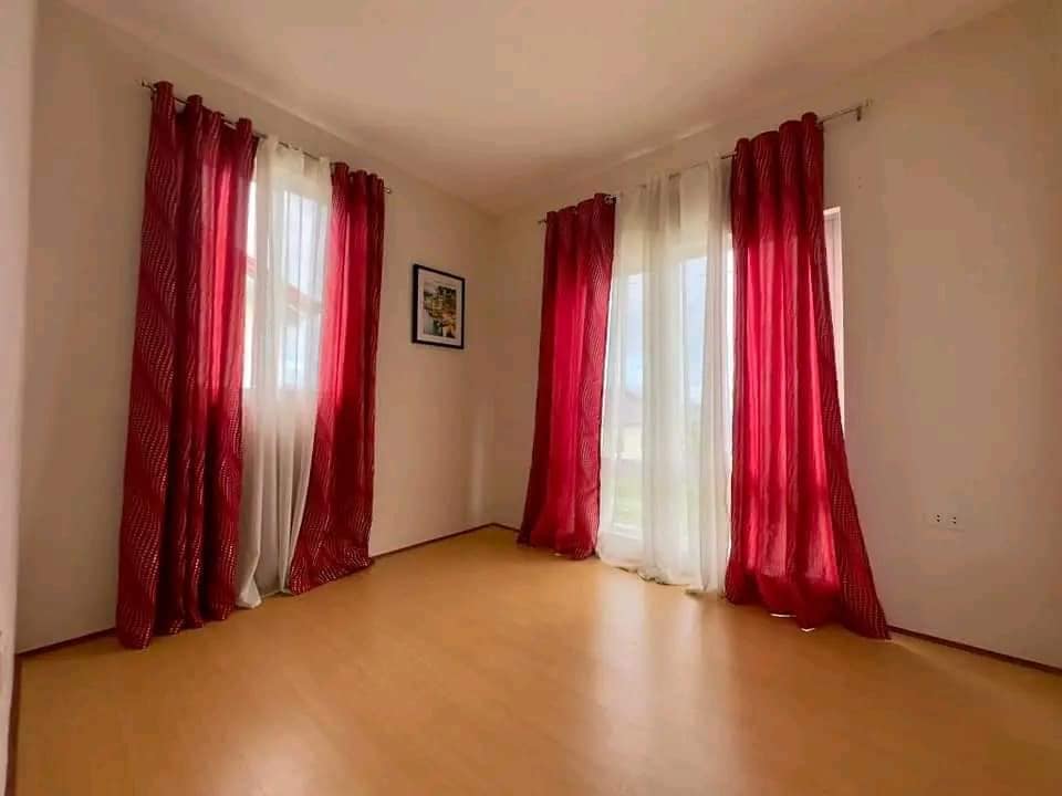 Catherine - Solana Zaragoza